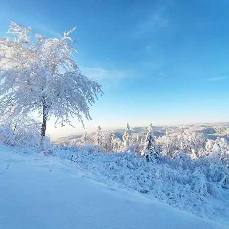 דירה Blaetterwald *